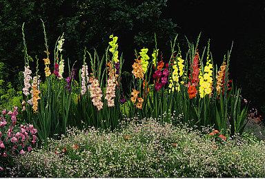 《马拉松》还在继续 甚至已经准备开始进行封闭测试了